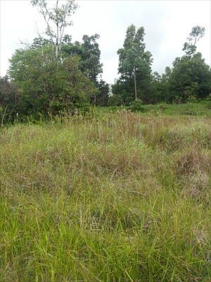 2nd image of 40th St Lot 8