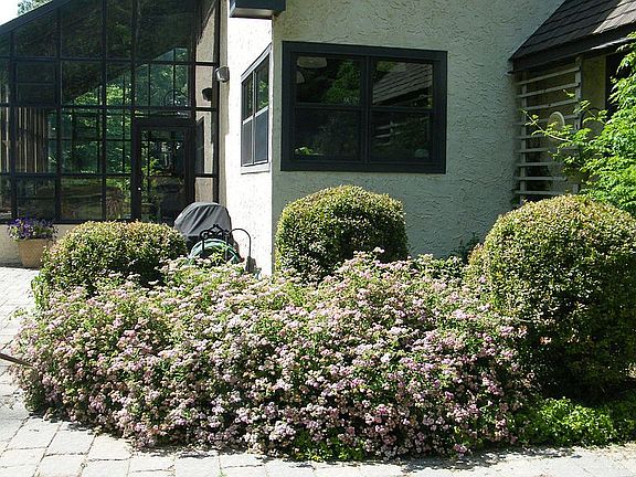 kitchen window out on garden