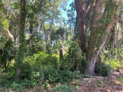 LOT 30 Fiddlers Walk Ln, Fernandina Beach, FL, 32034
