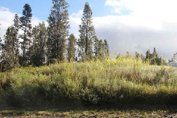 1st image of Road 9 Koloa Maoli Lot 72
