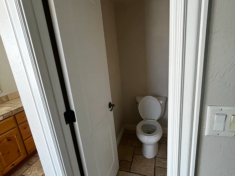 Master bathroom toilet