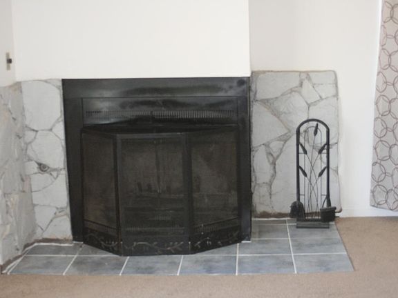 fireplace w/lots of wood