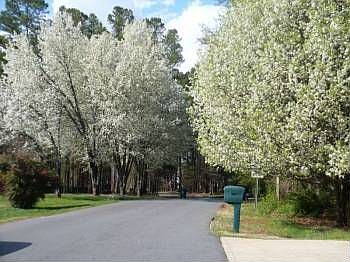 5th image of 20938 Island Forest Dr