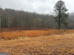 42 Whisperwood Rd, Hiawassee, GA 30546