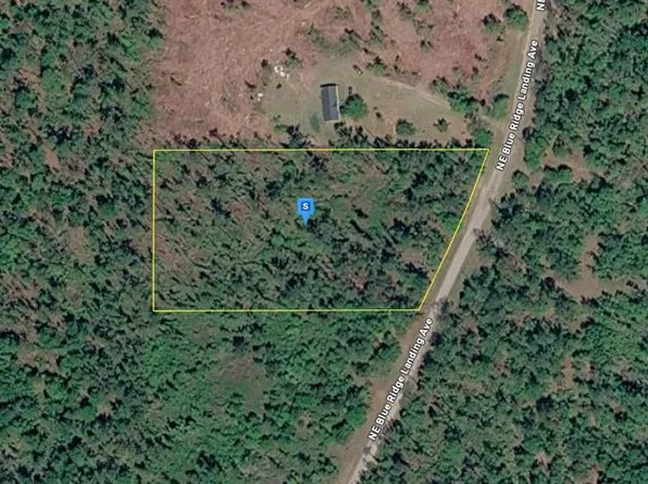 1177 NE Blue Ridge Landing Ave Lot 1, Lee, FL 32059