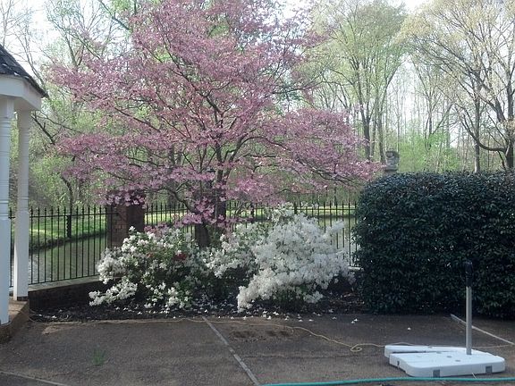 4th image of 6052 Twin Oaks Dr