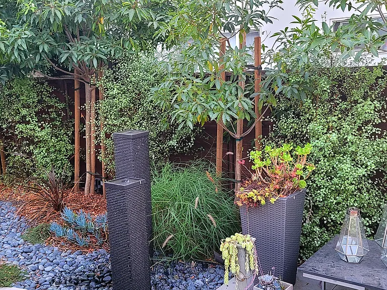 Backyard with Water Feature