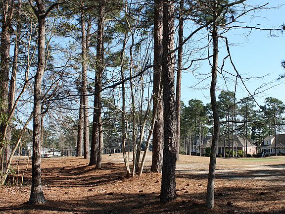 3rd image of 359 Laurel Valley Drive