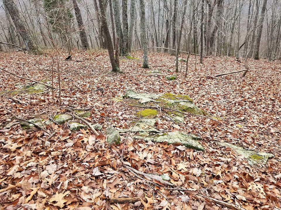 2nd image of 0 Panther Path