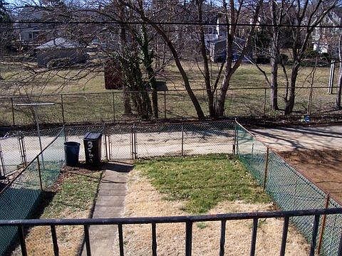 Picture of back yard from porch 