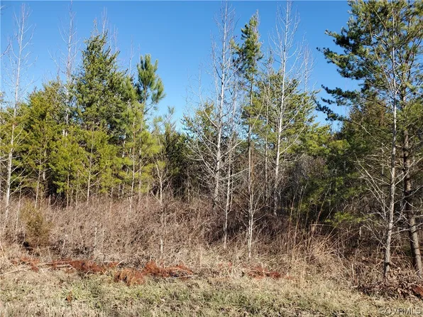 0 New Bethel Rd #1, Meherrin, VA 23954