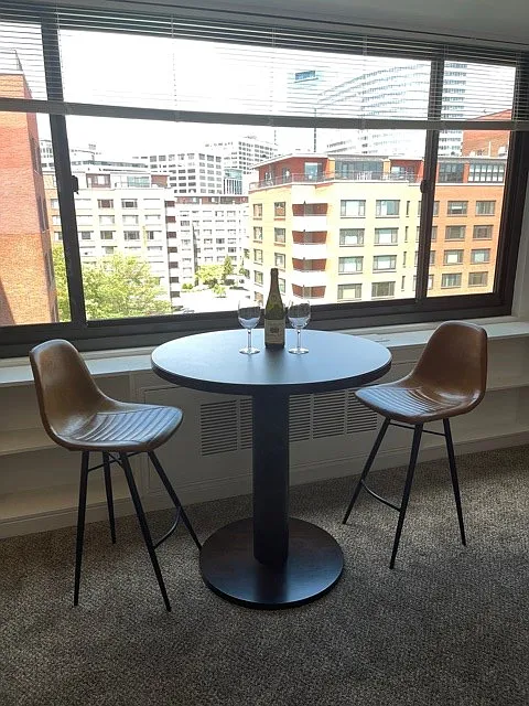 Studio, 401 sqft, $2,100 — Photo 4