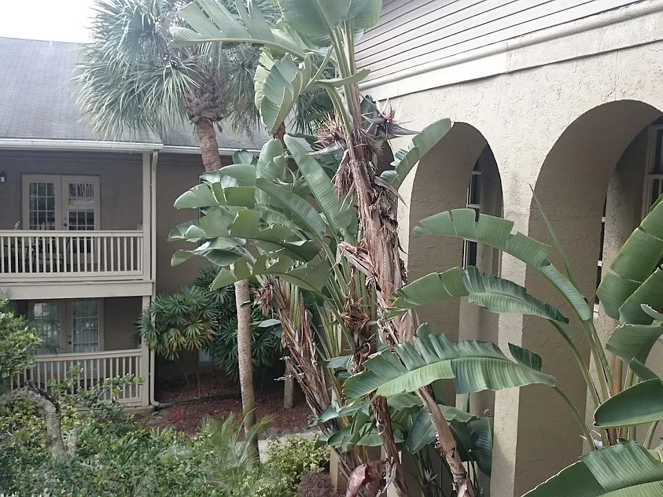 1st image of 455 Wymore Rd APT 206