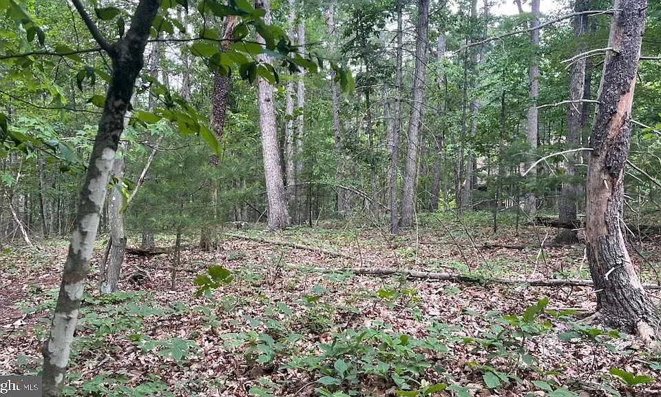 2nd image of 103 Pin Oak Ln