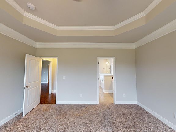 Bedroom With Tray Ceiling