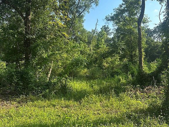 2nd image of Little Ln Lot 264