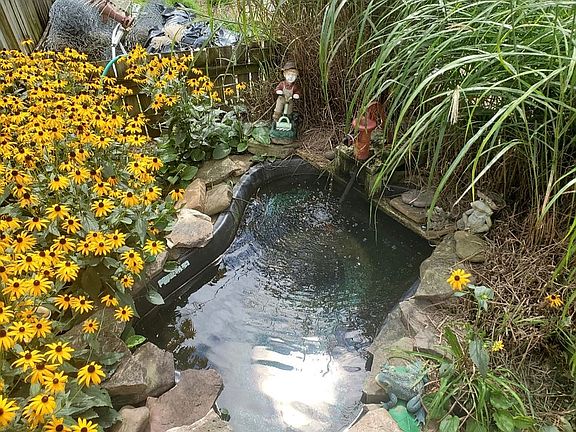 Fish pond beside deck