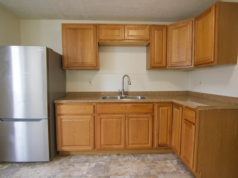 Fridge and cabinets