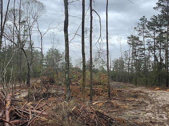 2nd image of County Road 182
