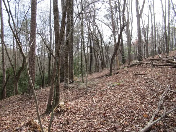 0 Long Branch Rd #3, Dahlonega, GA 30533