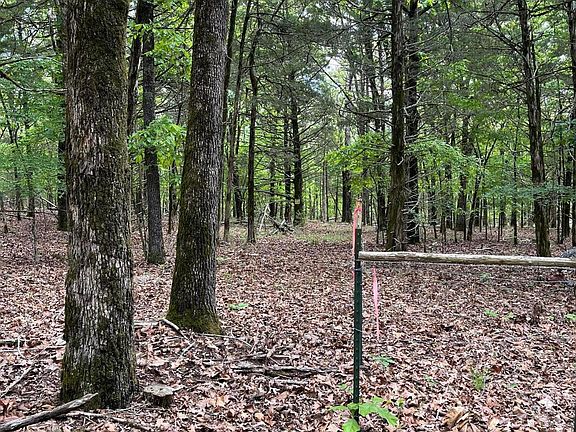 3rd image of Lot 40&41 Timber Shoals Road