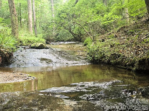 2nd image of 670 Cedar Creek Rd