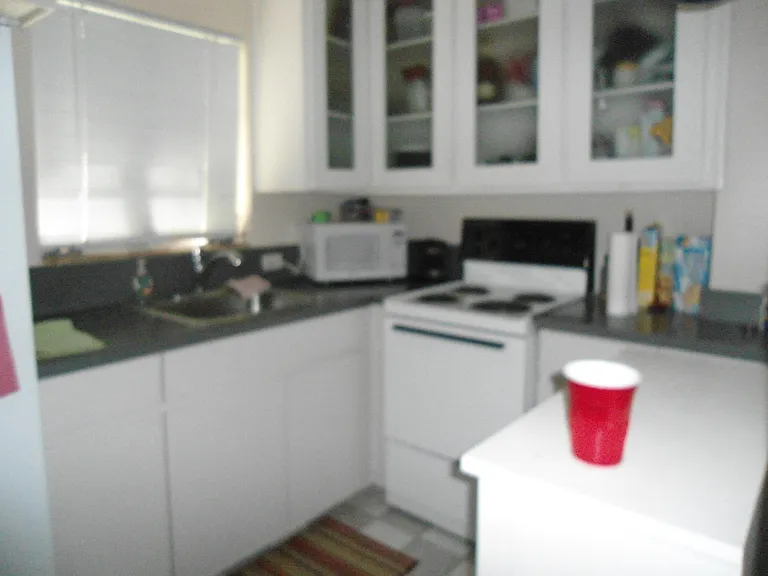 503 E Amelia St — Photo 7