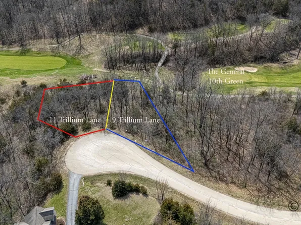 11 Trillium Ln, Galena, IL 61036