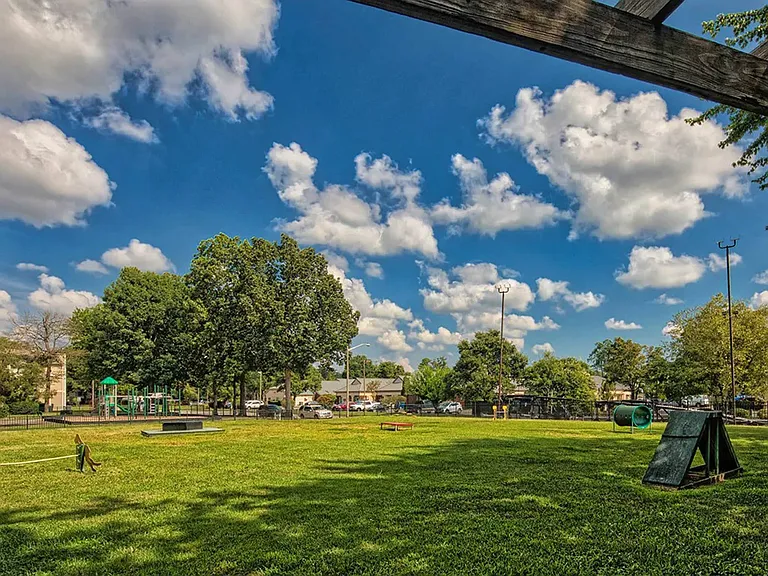Dog park with agility equipment