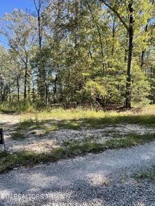 0 Charlie Newberry Rd, Lancing, TN, 37770