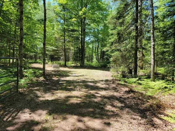 Bucktail Dr, Saint Helen, MI 48656