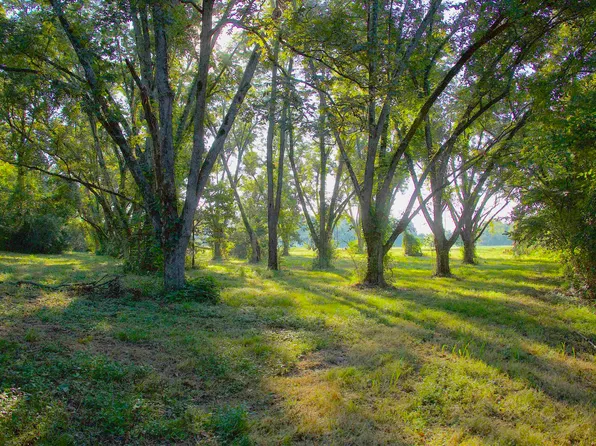11925 Old Jackson Rd, Somerville, TN 38068