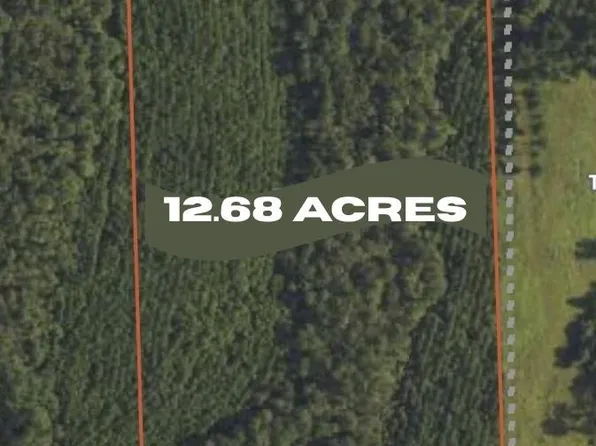 Pid 57087 Timber Ranch Rd, Apple Springs, TX 75926