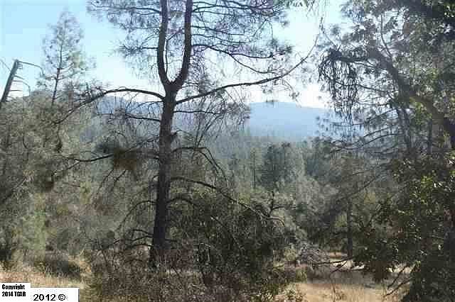1st image of Forest Service 4n74