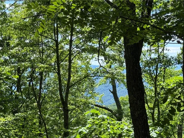 TBD Newbiggin, Boone, NC 28607