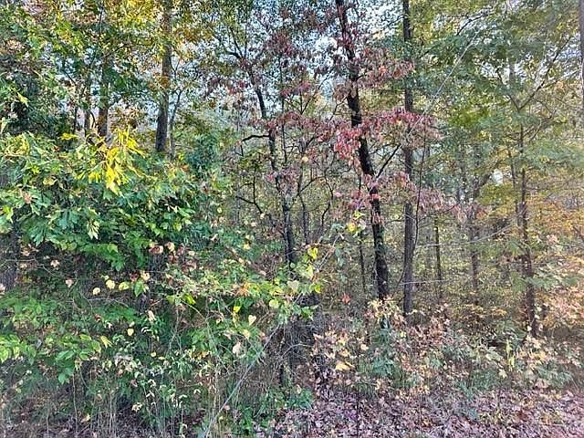 1st image of 4099 Big Creek Overlook Lot 12-B
