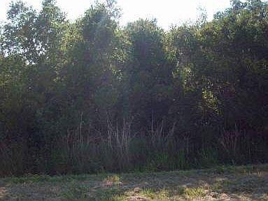 2nd image of 1426 S Gabriel Rd