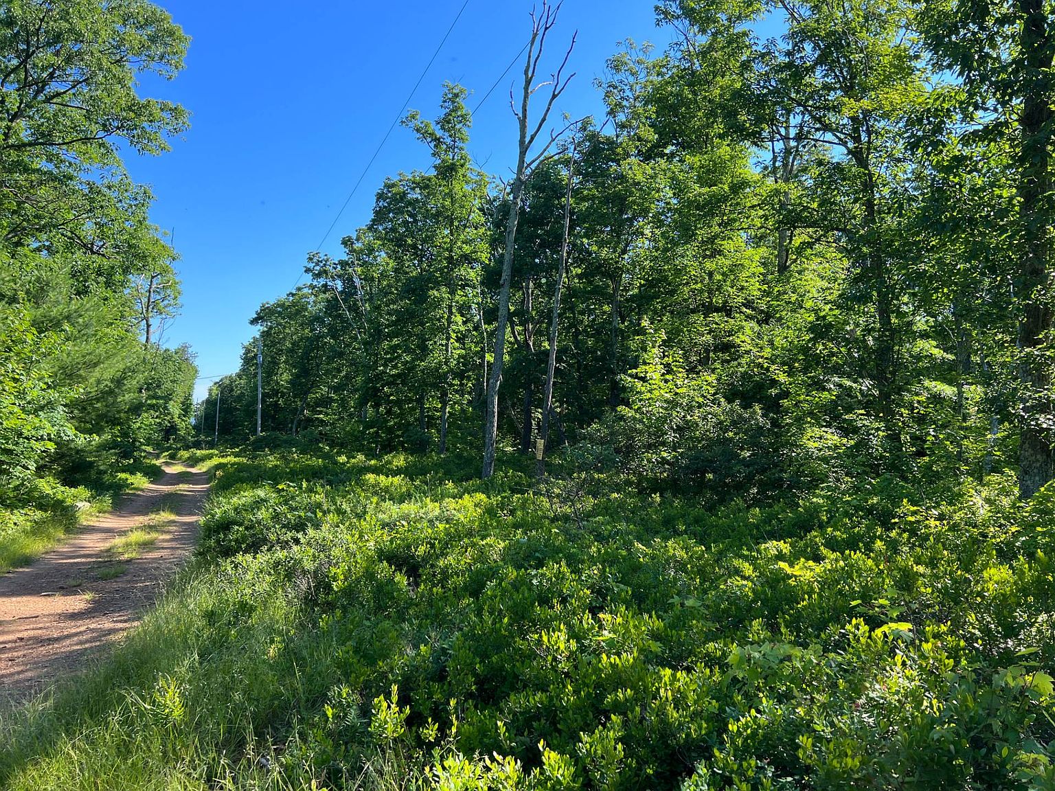 1763 Tomhicken Rd, Sugarloaf, PA 18249 Zillow