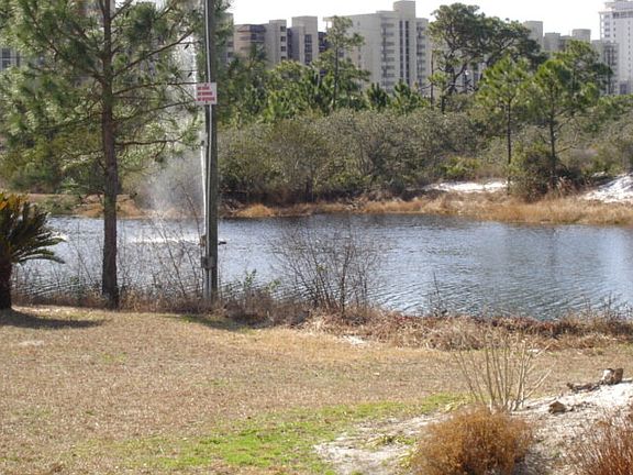 4th image of 24535 Perdido Beach Blvd APT 103