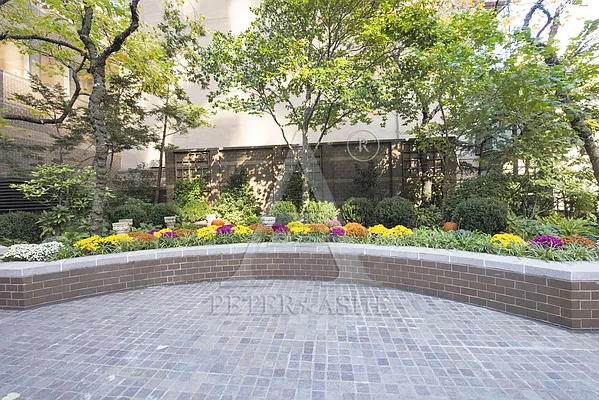 Rented by Peter Ashe | media 3