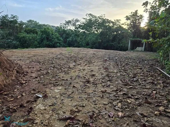 Carrt 602 Sector El Corcho Angeles, Utuado, PR 00641