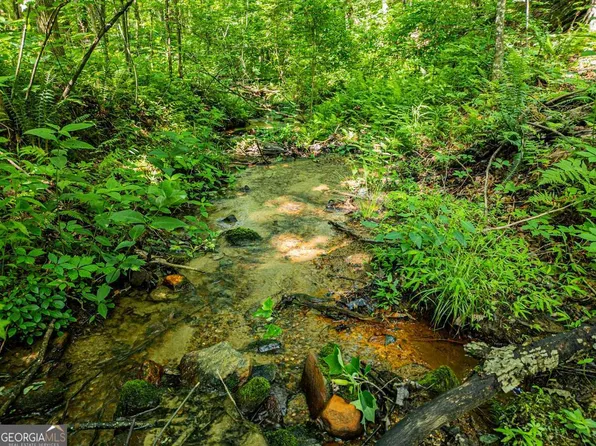 144 Saint Andrews Way #144, Ellijay, GA 30536