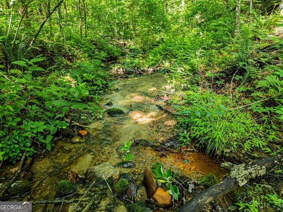 144 Saint Andrews Way #144, Ellijay, GA 30536