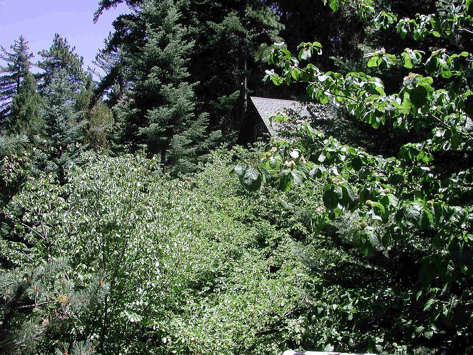 Environment