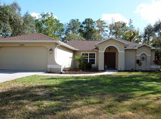 11919 Osprey Ave, Weeki Wachee, FL 34614