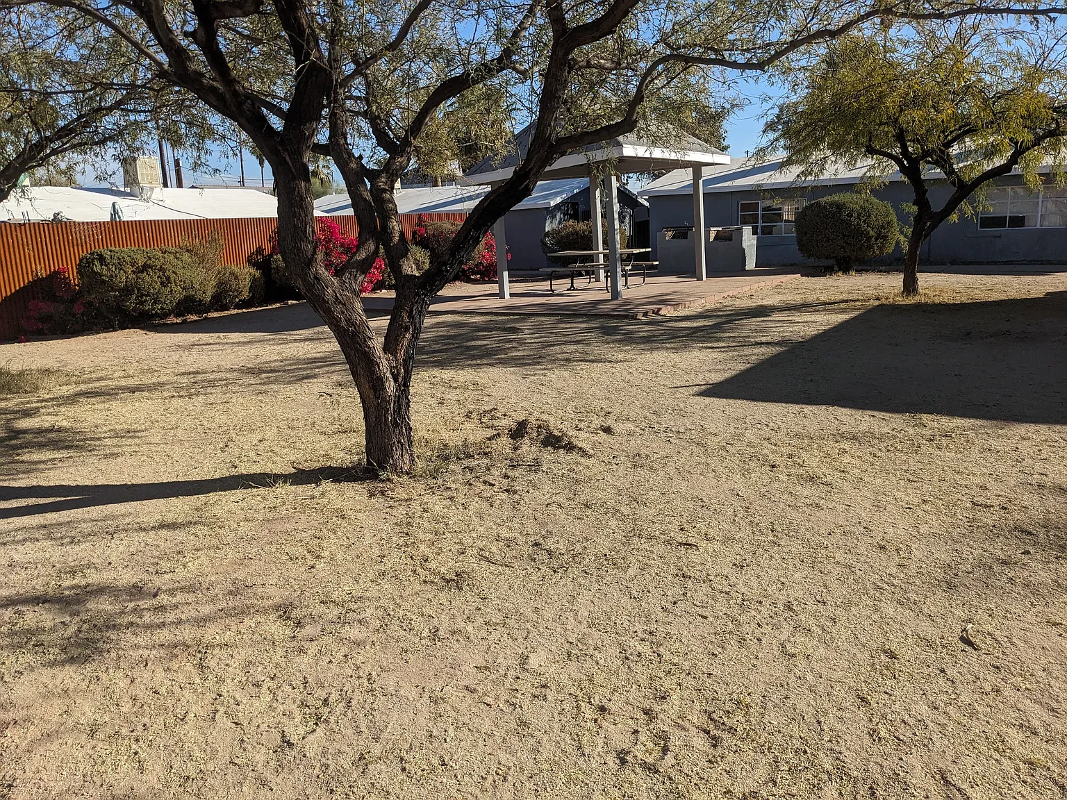 1 bed, 500 sqft, $749 — Photo 1