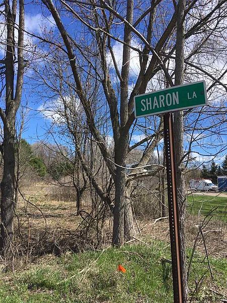 2nd image of 0 SHARON Lane
