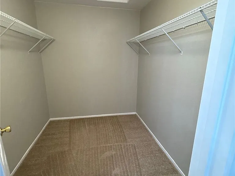29166 Branwin St — Photo 21