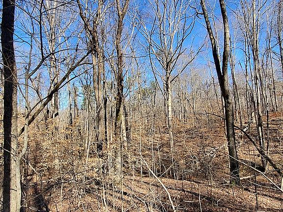 5th image of 4900 State Highway 65