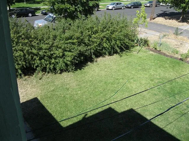 2 bed, 800 sqft, $1,195 — Photo 4